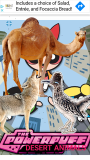 PPDSRTANMLS1998 Poster.png
