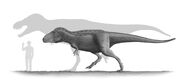 Tarbosaurus