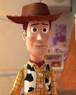 Sheriff Woody as Seargent Jed