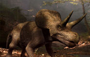 Zuniceratops