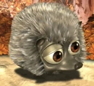 Hedgehog as Gopher