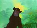 Jungle-cubs-volume01-bagheera08.jpg (56 KB)