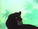 Jungle-cubs-volume02-bagheera01