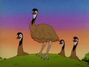 Emus