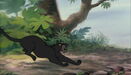 Jungle-book-disneyscreencaps.com-3500