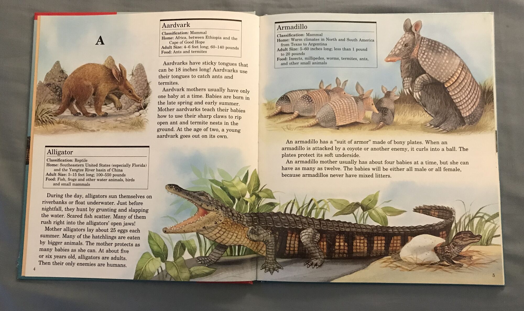 List Of Species In My First Book Of Animals From A To Z The Parody Wiki Fandom