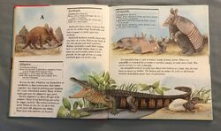 List of Species in My First Book of Animals from A to Z | The Parody Wiki | Fandom List of Species in My First Book of Animals from A to Z | The Parody Wiki | Fandom