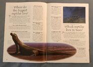 Reptiles (Over 100 Questions and Answers to Things You Want to Know) (2)