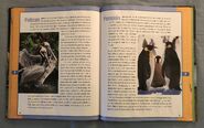 Scholastic Encyclopedia Of Animals (38)