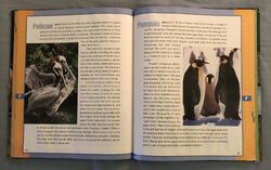 List of Species in Scholastic Encyclopedia of Animals | The Parody Wiki | Fandom List of Species in Scholastic Encyclopedia of Animals | The Parody Wiki | Fandom