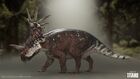 Styracosaurus