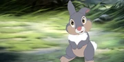 Thumper as Thumper