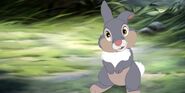 Thumper as Pooka