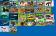 Animal Alphabet 4.png (2.54 MB)