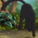 Bagheera jump off 9.png (172 KB)