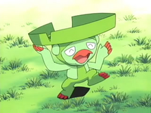 Brock's Lombre