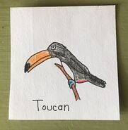 Toucan Begins With T