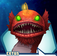 Cetus (Red Head)