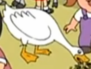 Family Guy Duck