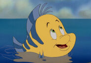 Flounder as Patch