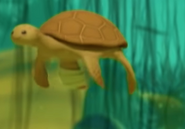 LoggerHead sea Turtle