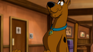 Scooby Doo as Zipper