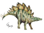 Stegosaurus armatus