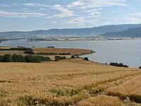 Kazulian Agriculture Field 1