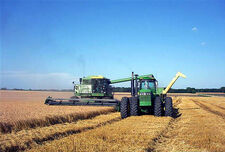 Wheat harvest