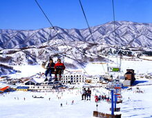 Yonseo Resort