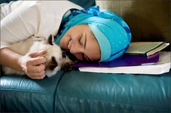 Felinist propaganda from the time of the Second Felinist Republic