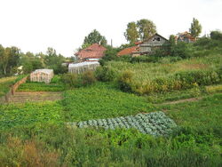 Trigunian Farm