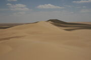 SalimrDesert