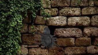Dropping Spider Party City Halloween Wiki Fandom