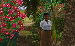 A Niua Simoan scene.