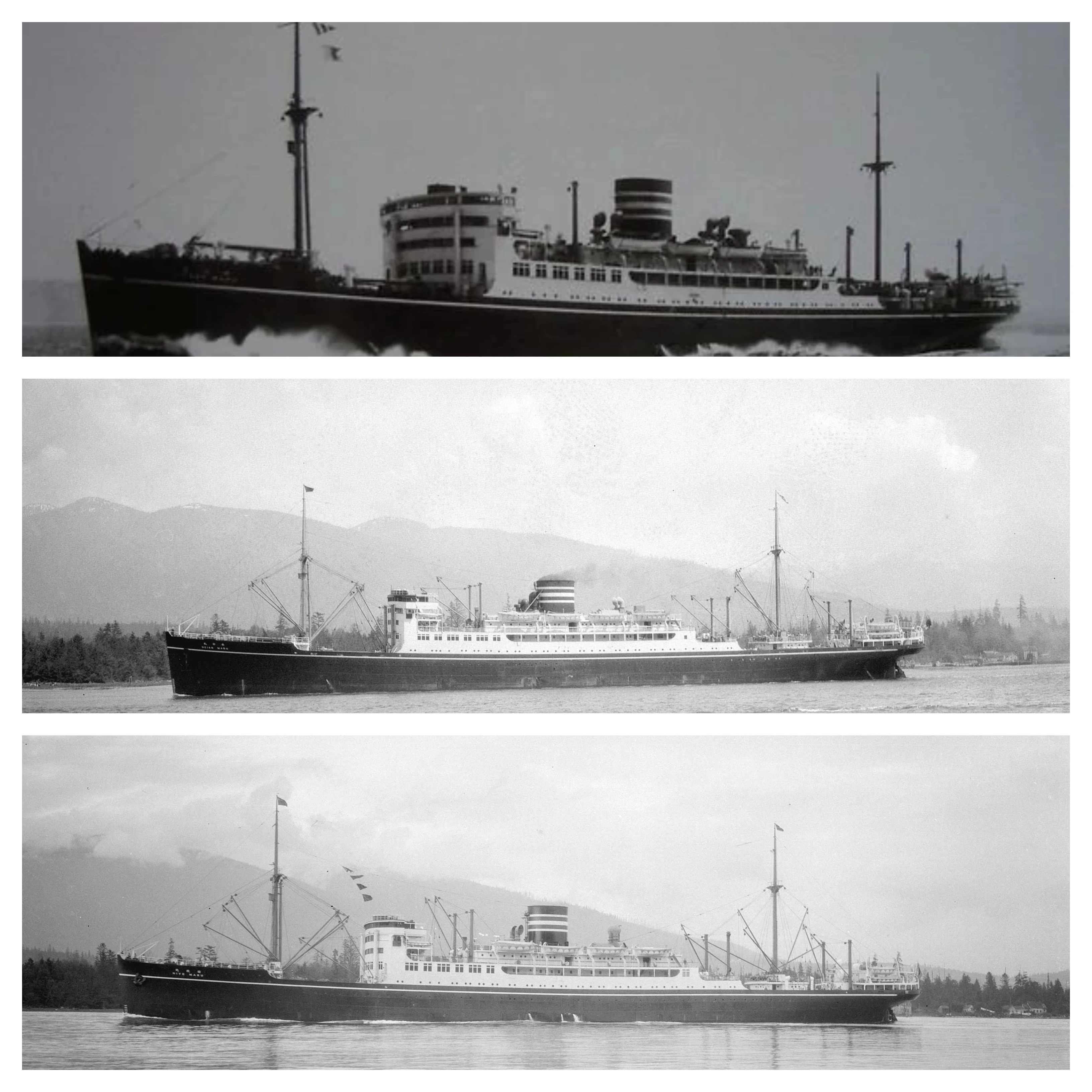 Hikawa Maru-class | Passenger-ships-and-liners Wiki | Fandom