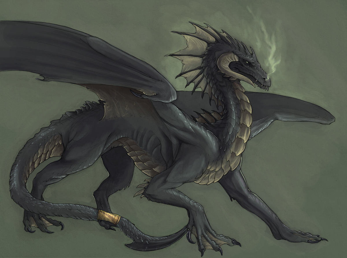 Гебриданский чёрный дракон