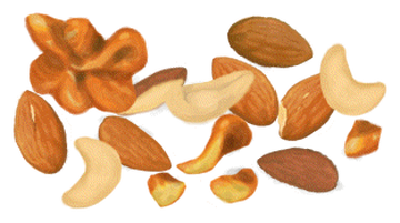 Nuts wiki hotsell