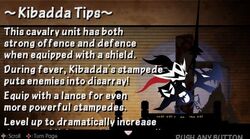 Kibba Tips.jpg