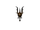Pain of Pentavus (Uber).png