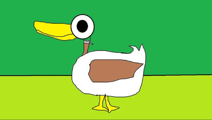 Duck