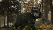 Styracosaurus