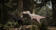 A Melanistic and Albino Alioramus