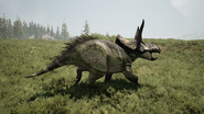 Eotriceratops 1