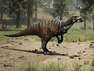 Campto Skin (13).jpg (461 KB) Pangaea