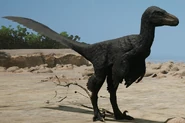 Melanistic Legendary 10,000