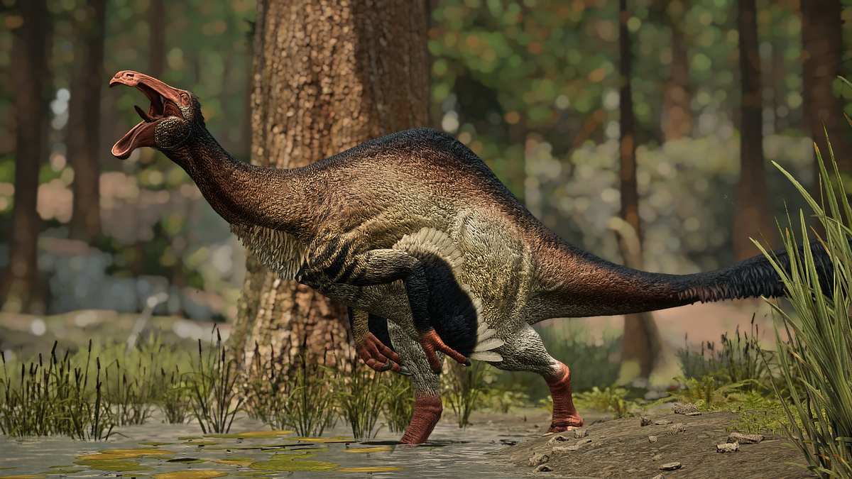 A Dinosaur Lover's Dream: Travel Back to the Times of Deinocheirus