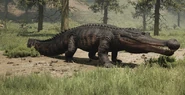 Melanistic Legendary 10,000
