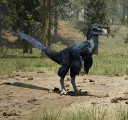 Tigrinum
