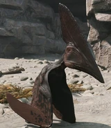 Melanistic Legendary 10,000